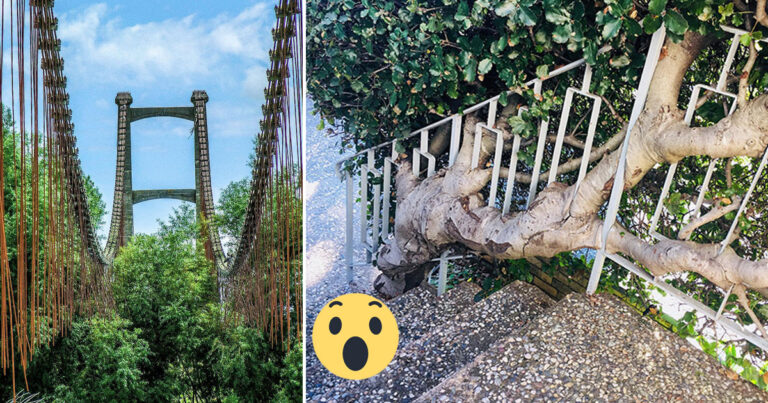 14 gånger naturen vann kampen mot civilisationen – och det är så häftigt