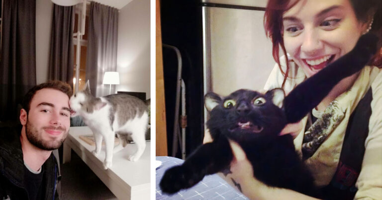 14 gånger katter har bevisat att de är satanistiskt besatta – och det är hur kul som helst