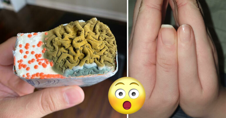 13 gånger folk såg något riktigt häftigt och var tvungna att fota och dela med sig