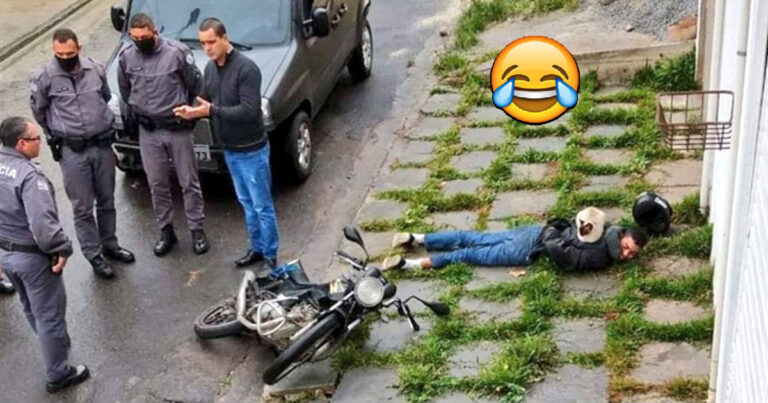 Dessa 16 katter som chillar på helt fel plats har nu fått användare att välta av skratt