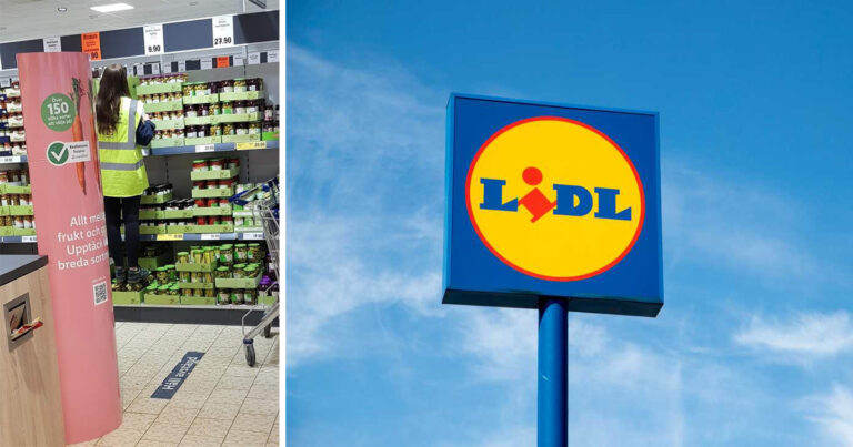 Allt började med en avskyvärd bild – nu avslöjar Lidl-anställda om hemska arbetsförhållanden