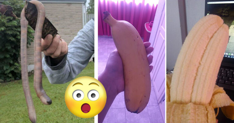 13 gånger folk har hittat något ofattbart stort och var tvungna att dela en bild på det