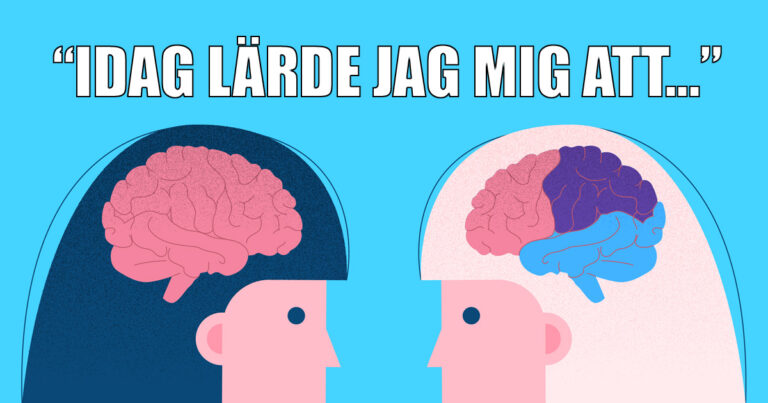 13 roliga och fascinerande ”idag lärde jag mig att”-fakta – nummer 9 slår nog allt!